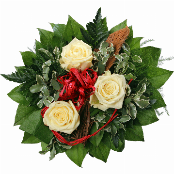 Blumenstrauß 3 cremefarbene Rosen, Bastschleife in rot, Kokosrinde, Pittosporum, Pistazie, Plumosus, Lederfarn und Salal werden in dem Strauß verarbeitet.