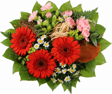 Blumenstrauß ″Harmonie″ bestehend aus Der Strauß besteht aus 3 rote Minigerbera, rosa Spraynelken, Kamillenblüten, Bupleurum, Pistazie, Salal, Kokosrinde, Bastschleife.