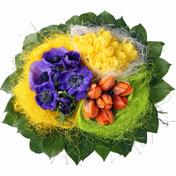 Blumenstrauß ″Osternest″ bestehend aus Der Strauß besteht aus 10 Narzissen, 7 Anemonen, 7 Tulpen, Heidelbeerkraut und Salal.