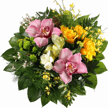 Blumenstrauß In diesem Blumenstrauß werden 2 Orchideenblüten, 3 gelbe Rosen, weiße Freesien, Chrysanthemen, Ginster, Plumosus, Pistazie und Salal verarbeitet.
