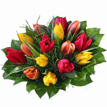 Blumenstrauß Bunter Tulpenstrauß. 15 Tulpen, verschiedenen Farben mit frischen Zweigen und Blättern gebunden.