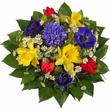 Blumenstrauß Blaue Hyazinthe, 3 rote Tulpen, 3 Narzissen, 3 blaue Annemonen, Kamillenblüten, verschiedenes Beiwerk.