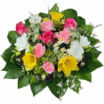 Blumenstrauß ″Ein Hauch von Frühling″ bestehend aus 3 Rosen, rosa Spraynelken, 3 Narzissen, 3 weiße Freesien, weißer Ginster, verschiedenes Beiwerk.