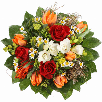Blumenstrauß 6 orange Tulpen, 3 rote Rosen, 2 weiße Freesien, Kamillenblüten, Bastschleife, viel Beiwerk.