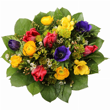 Blumenstrauß 4 rote Tulpen, 3 blaue Anemonen, 3 gelbe Freeseien, 3 Ranunkel, Heidelbeerzweige, Waxflower, verschiedenes Beiwerk.