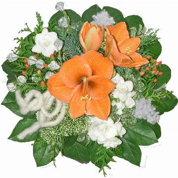 Blumenstrauß 1 Amaryllis, weiße Freesien, Trachelium, Eukalyptusfrüchte, Filzschleife, verschiedenes Beiwerk.