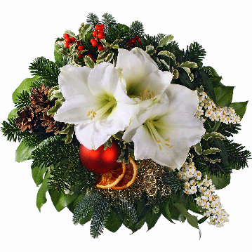 Blumenstrauß Weiße Amaryllis, weiße Euphorbienranken, Orangenscheiben, Ilex, rote Weihnachtskugel, Zapfen, Engelshaar, verschiedenes Beiwerk.