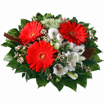 Blumenstrauß ″Viel Glück″ bestehend aus 3 rote Gerbera, weiße Alstromerien, Waxflower, Trachelium, Kokosrinde, verschiedenes Beiwerk.