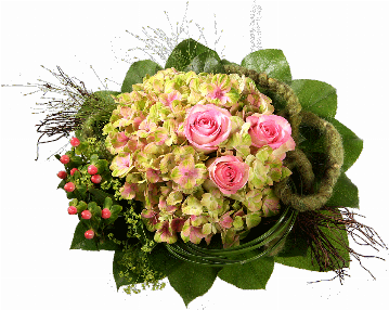 Blumenstrauß 1 Hortensie, 3 rosa Rosen, Hyperikum, Panikum, Filzschleife, Rebenzweige, verschiedenes Beiwerk.