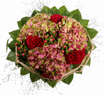 Blumenstrauß ″Der Runde″ bestehend aus 3 Hortensien, 3 Cellosien, Hyperikum, Panikumgras, Bastschleife, verschiedenes Beiwerk.
