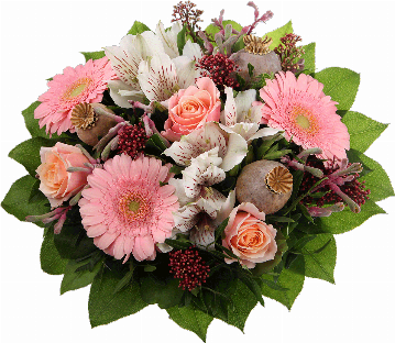 Blumenstrauß 3 rosa Gerbera, 3 rosa Rosen, känguruhpfötchen, Mohnkapseln, Skimmiablüten, verschiedenes Beiwerk.