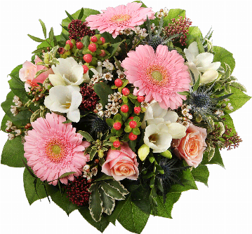 Blumenstrauß 3 roas Gebera, 3 rosa Rosen, 2 weiße Freesien, blaue Disteln, Waxflower, Hyperikum, Skimmia, verschiedenens Beiwerk.