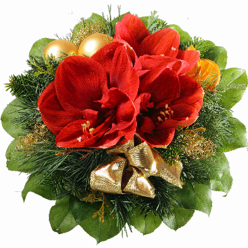 Blumenstrauß 1 rote Amaryllis, goldene Weihnachtskugeln, goldene Schleife, Orangenscheiben, goldenes Engelshaar, Kiefer, Tanne, verschiedenes Beiwerk.