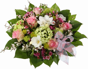 Blumenstrauß 5 rosa Rosen, 3 weiße Freesien, weißer Ginster, Waxflower, Schneeball (Viburnum), Dekoschleife 