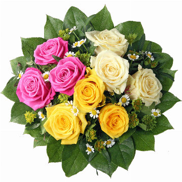 Blumenstrauß ″Rosenvielfalt″ bestehend aus 3 pinkfarbene Rosen, 3 cremefarbene Rosen, 3 gelbe Rosen, Kamillenblüten, verschiedenes Beiwerk.