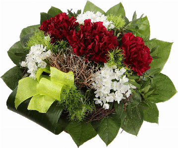 Blumenstrauß ″Freundschaft″ bestehend aus 3 Bordeauxrote Nelken, weiße Alliumblüten, grüne Schleife, verschiedenes Beiwerk.