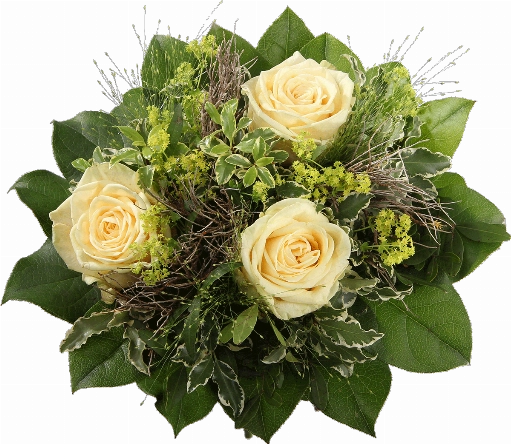 Blumenstrauß ″Purete″ bestehend aus Gebunden wird der Strauß aus 3 cremefarbene Rosen, Panikumgräser, Bupleurum, Euphorbia Spinosa, Pistazie, Pittosporum und Salal.