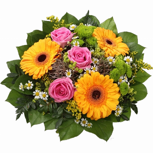 Blumenstrauß 3 gelbe Germini, 3 pinkfarbene Rosen, Kamillenblüten, grüne Chrysanthemen, Solidago, verschiedenes Beiwerk.